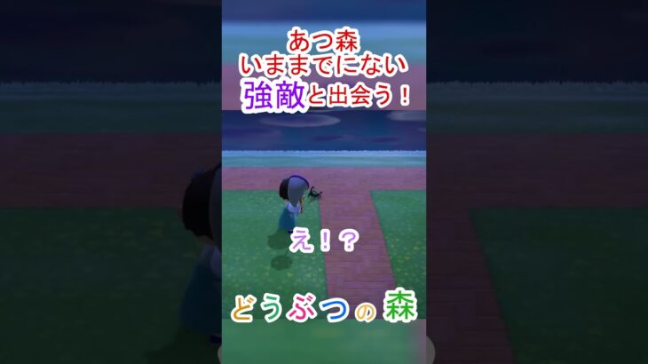 あつ森でサソリと究極の間合い勝負！【あつまれどうぶつの森】#あつ森 #あつまれどうぶつの森