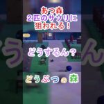 あつ森で同時に２匹のサソリに狙われて喋りまくった！ｗ【あつまれどうぶつの森】#あつ森 #あつまれどうぶつの森