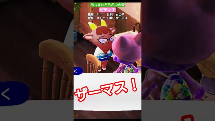 【#あつ森 】ピティエ【#あつまれどうぶつの森 】
