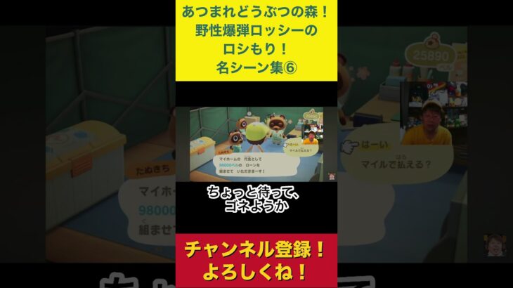 【あつまれどうぶつの森】名シーン集⑥ #あつ森　#あつまれどうぶつの森　#野性爆弾ロッシー  #たぬきち