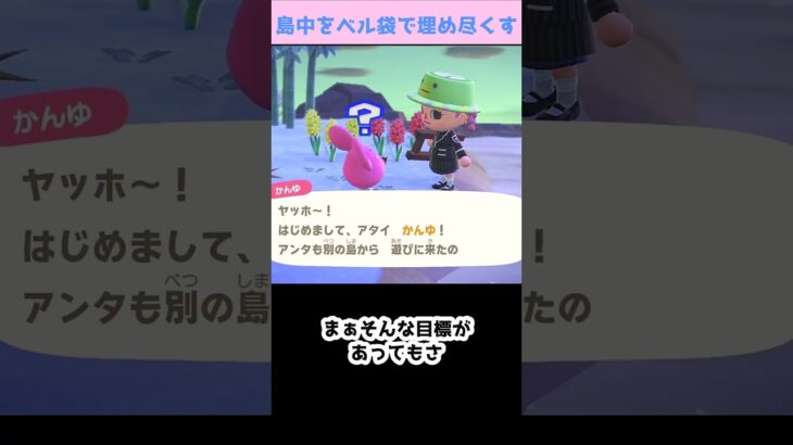 【あつ森】≪島中を💰≫　２４時間離島ガチャ生活の工夫
