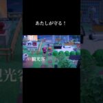 【あつ森】わぁぁぁ〜！！！！ #あつ森 #あつまれどうぶつの森 #チャンネル登録お願いします