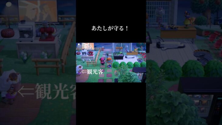 【あつ森】わぁぁぁ〜！！！！ #あつ森 #あつまれどうぶつの森 #チャンネル登録お願いします