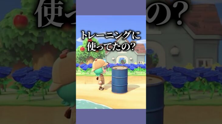 ちゃちゃまる式トレーニング！！！ #あつ森  #あつまれどうぶつの森  #女性ゲーム実況