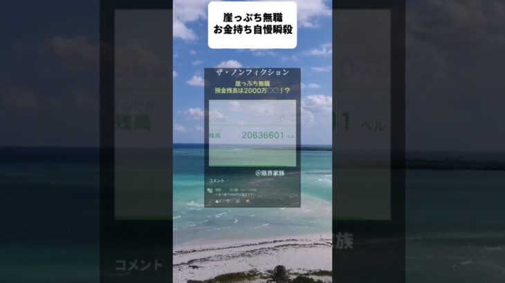 【崖っぷち無職】お金持ち自慢瞬殺された模様　#あつ森