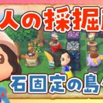 【あつ森】岩固定を使った小人の採石場を島クリエイトするライブ【あつまれどうぶつの森】