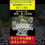 【あつまれどうぶつの森】名シーン集⑦ #あつ森　#あつまれどうぶつの森　#野性爆弾ロッシー  #たぬきち