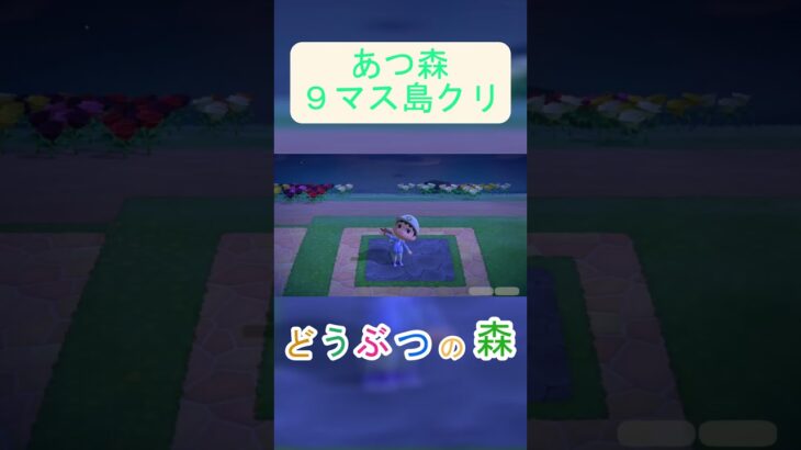 【あつ森９マス島クリ】段ボールの上でネコが見つめてくる場所を作る！