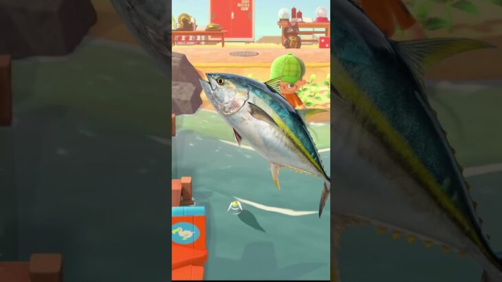 (あつ森)魚を逃した