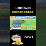 北海道の広大な畑を再現してみた！【あつ森】 #ゲーム実況 #あつ森 #北海道