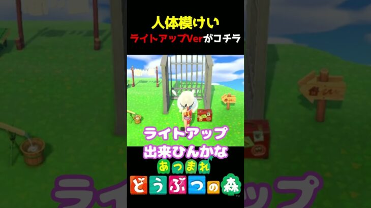 【あつ森】人体模けいライトアップしてみたｗｗｗ