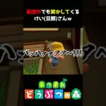 【あつ森】配信中に素で笑かしてくるけい氏ｗｗｗ