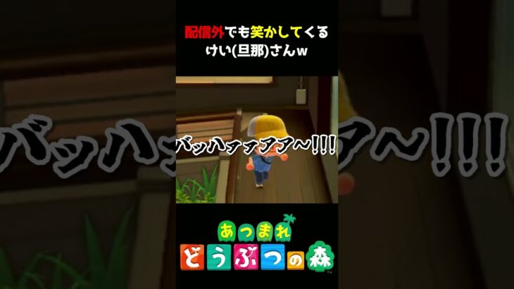 【あつ森】配信中に素で笑かしてくるけい氏ｗｗｗ