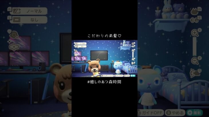 ドキッ！女だらけの相撲大会  #癒しのあつ森時間