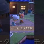 【あつ森】ペーターとクモと私