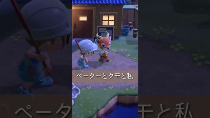 【あつ森】ペーターとクモと私