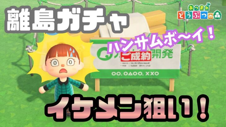 【あつ森】ジュン狙いの離島ガチャのハズが…