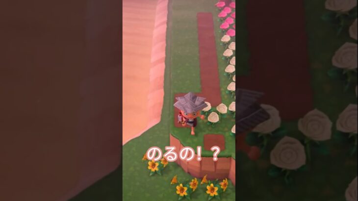 のるの！？#あつ森