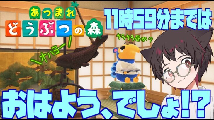 【あつ森】午前中なら朝活って言えるでしょ？