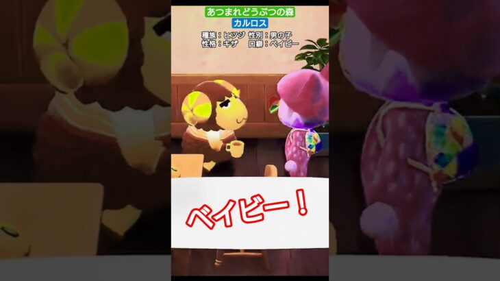 【#あつ森 】カルロス【#あつまれどうぶつの森 】