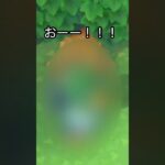 【あつ森】久しぶり！！あの元住民が遊びに来てくれました