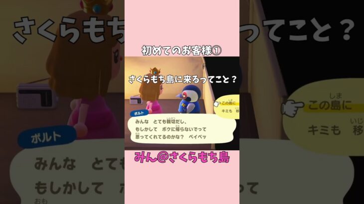 【あつ森】キャンプサイトに最初のお客さんが来たよ！