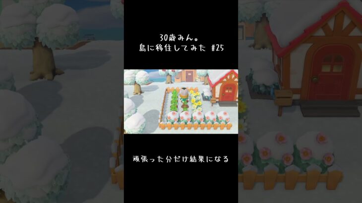 #あつ森初心者 #あつ森 #始まってるよ #始まってるよ #あつまれどうぶつの森 #ゲーム #あつ森ライフ