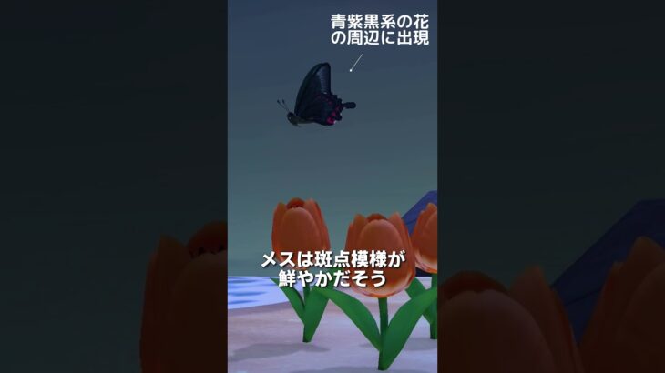 【あつ森】カラスアゲハの観察🦋
