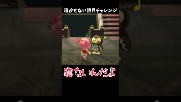 寝かせない限界チャレンジｗ #あつ森 #ききゆん 【嬉々桜ゆん】#あつまれどうぶつの森 #ゲーム実況