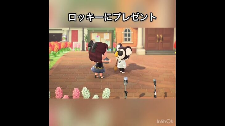 【あつ森】ロッキーにプレゼント　#vlog #あつ森 #あつまれどうぶつの森 #こはくちゃんねる2424   #毎日更新　毎日更新中　 推し活