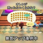 【あつ森】オレンジ売ったらいくらかな？　#vlog #あつ森 #あつまれどうぶつの森 #こはくちゃんねる2424   #毎日更新　毎日更新中　 金を稼ぐ