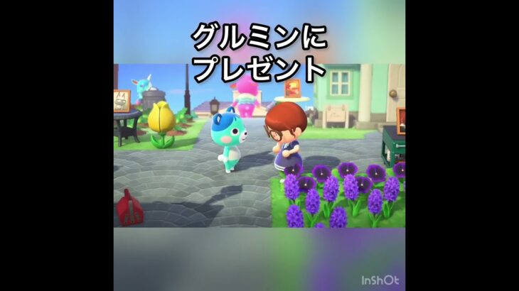 【あつ森】グルミンにプレゼント　#vlog #あつ森 #あつまれどうぶつの森 #こはくちゃんねる2424   #毎日更新　毎日更新中　 推し活