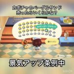 【あつ森】カボチャのベーグルサンド売ったらいくらかな？　#vlog #あつ森 #あつまれどうぶつの森 #こはくちゃんねる2424   #毎日更新　毎日更新中　 金を稼ぐ　あつ森で五月病乗り切る