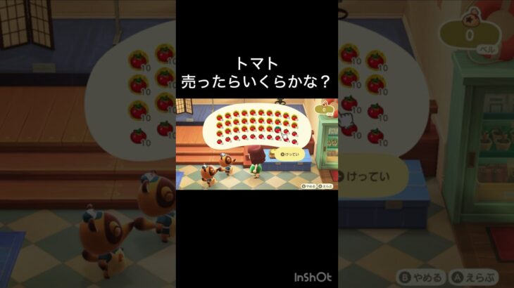 【あつ森　トマト売ったらいくらかな？　#vlog #あつ森 #あつまれどうぶつの森 #こはくちゃんねる2424   #毎日更新　毎日更新中　 金を稼ぐ】
