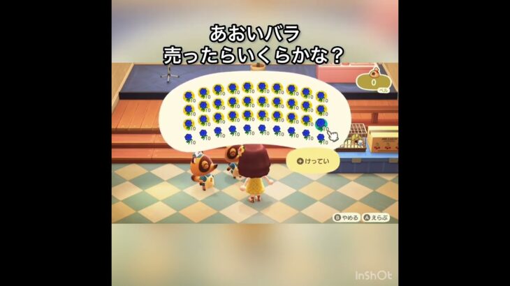 【あつ森】青いバラ売ったらいくらかな？　#vlog #あつ森 #あつまれどうぶつの森 #こはくちゃんねる2424   #毎日更新　毎日更新中　 金を稼ぐ　あつ森で五月病乗り切る