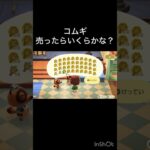 【あつ森　コムギ売ったらいくらかな？　#vlog #あつ森 #あつまれどうぶつの森 #こはくちゃんねる2424   #毎日更新　毎日更新中　 金を稼ぐ】