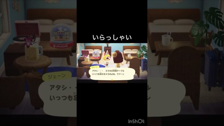 【あつ森　ジェーン様　いらっしゃい　　#vlog #あつ森 #あつまれどうぶつの森 #こはくちゃんねる2424  #毎日更新　毎日更新中　観光客　ホテル】