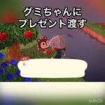 【あつ森】グミちゃんにプレゼント　#vlog #あつ森 #あつまれどうぶつの森 #こはくちゃんねる2424   #毎日更新　毎日更新中　 金を稼ぐ