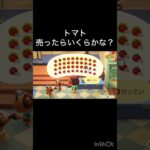 トマト売ったらいくらかな？　#vlog #あつ森 #あつまれどうぶつの森 #こはくちゃんねる2424   #毎日更新　毎日更新中　 あつ森で5月病乗り切る　ソロぼっち女子】