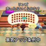 【あつ森】リンゴ売ったらいくらかな？　#vlog #あつ森 #あつまれどうぶつの森 #こはくちゃんねる2424   #毎日更新　毎日更新中　 GWも金を稼ぐ
