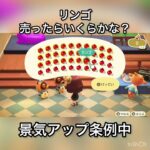 【あつ森　りんご売ったらいくらかな？】#vlog #あつ森 #あつまれどうぶつの森 #こはくちゃんねる2424   #毎日更新　毎日更新中　 金を稼ぐ　gwもあつ森