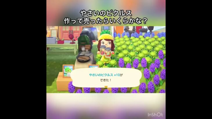 【あつ森】野菜のピクルス売ったらいくらかな？　#vlog #あつ森 #あつまれどうぶつの森 #こはくちゃんねる2424   #毎日更新　毎日更新中　 金を稼ぐ　gwもあつ森
