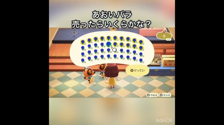 【あつ森】青のバラ売ったらいくら稼げる？　#vlog #あつ森 #あつまれどうぶつの森 #こはくちゃんねる2424  #毎日更新　毎日更新中　gwもあつ森