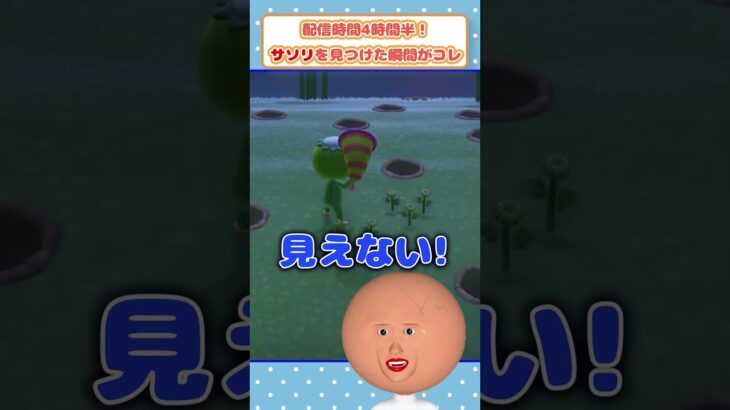 サソリを見つけた瞬間がコレ…!!!  #ゲーム実況  #vtuber #あつ森 #だいすき