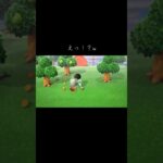 そんなことある！？w #あつまれどうぶつの森 #あつ森 #どうぶつの森 #実況プレイ #ゲーム実況