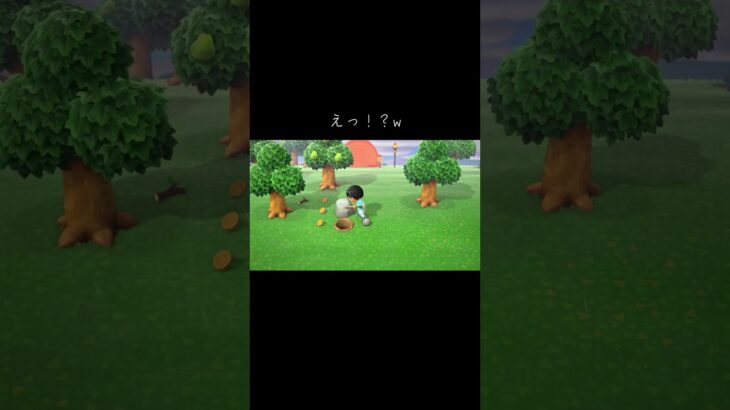 そんなことある！？w #あつまれどうぶつの森 #あつ森 #どうぶつの森 #実況プレイ #ゲーム実況