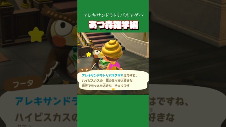 【あつ森】アレキサンドラトリバネアゲハの雑学をフータから聞いてみた！(いつも聞かなくてごめんねw) #あつ森 #あつまれどうぶつの森 #animalclossing #ゲーム配信 #しゅまのゲーム帳