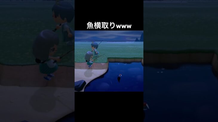 横取りしちゃってごめんねw#あつまれどうぶつの森 #あつ森 #ゲーム実況 #shorts