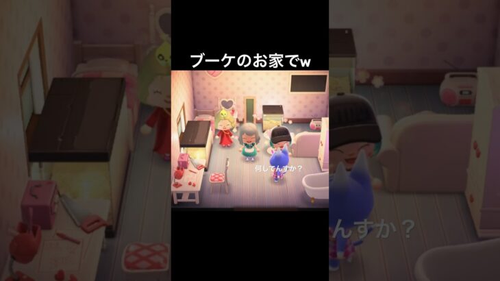 ブーケにとっては迷惑w#あつまれどうぶつの森 #あつ森 #ゲーム実況 #shorts