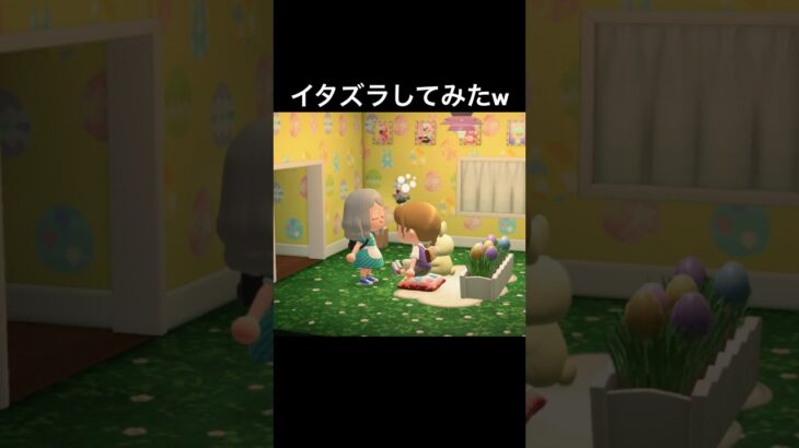 地味な嫌がらせw#あつまれどうぶつの森 #あつ森 #ゲーム実況 #shorts